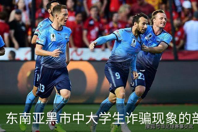 东南亚黑市中大学生诈骗现象的剖析与影响